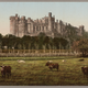 Illustration for article titled Have Fun Storming the Castle